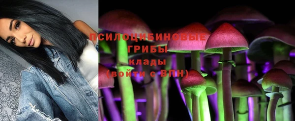 спайс Касимов