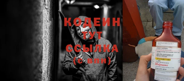 сатива Сясьстрой