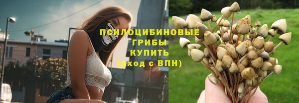 спайс Касимов