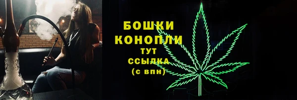 спайс Касимов