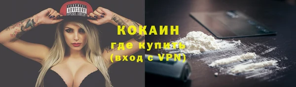 бошки Каменногорск