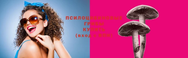 спайс Касимов