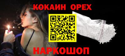 шишки Кандалакша
