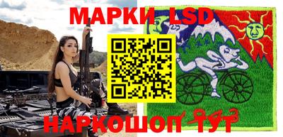 шишки Кандалакша