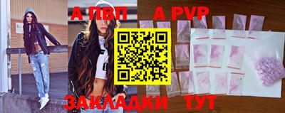 шишки Кандалакша