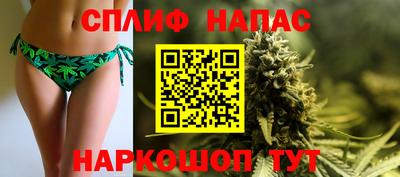 сатива Канаш