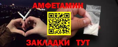 шишки Кандалакша
